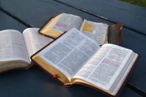 ¿Qué traducción de la Biblia es la mejor?