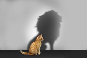 ¿De qué forma puede cambiar la fe mi vida?